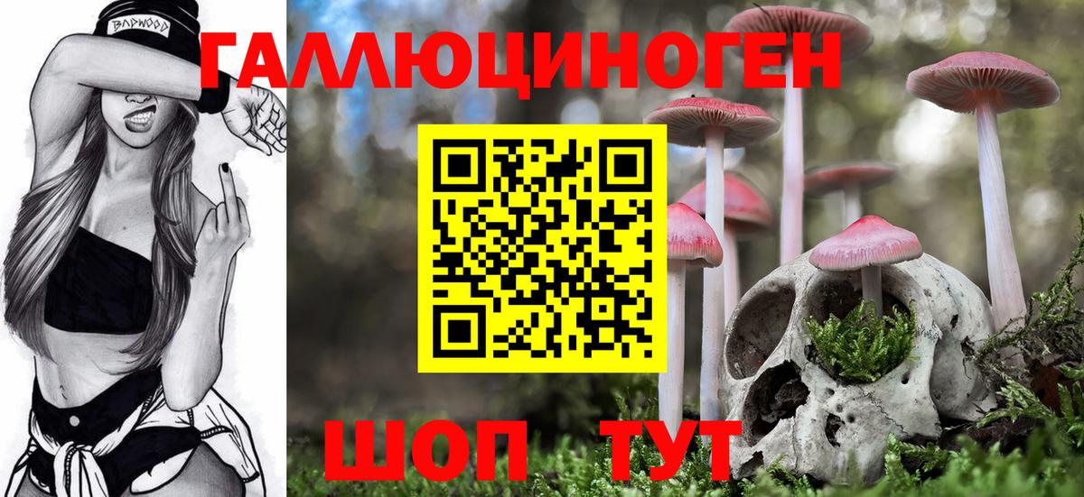 Галлюциногенные грибы ЛСД Малгобек