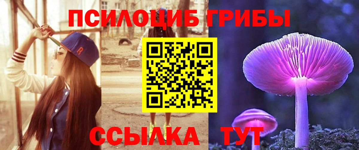 Псилоцибиновые грибы прущие грибы  Вход с VPN  Малгобек 