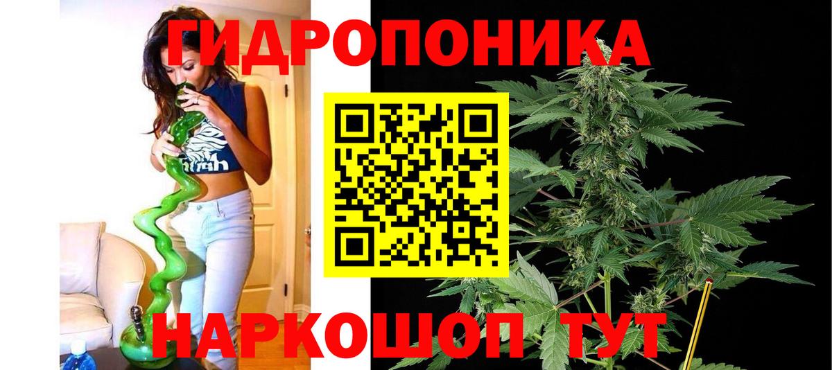 Каннабис семена Малгобек